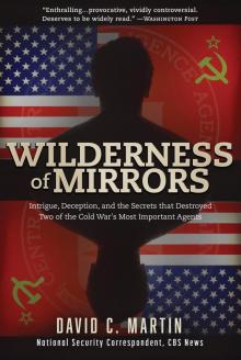 Wilderness of Mirrors Read online