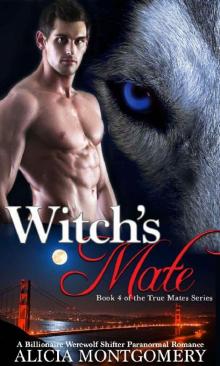 Witch's Mate Read online