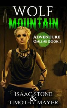 Wolf Mountain: A litRPG Novel (Adventure Online Book 1) Read online