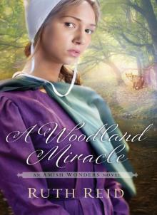 Woodland Miracle (9781401688332) Read online