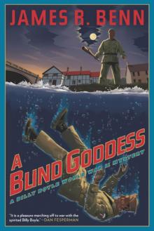 A Blind Goddess bbwwim-8 Read online