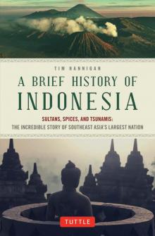 A Brief History of Indonesia Read online