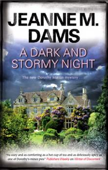 A Dark and Stormy Night Read online