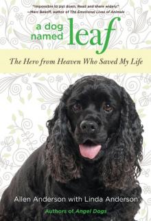 A Dog Named Leaf: The Hero From Heaven Who Saved My Life Read online