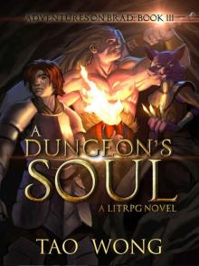 A Dungeon's Soul_Book 3 of the Adventures on Brad