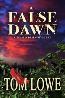 A False Dawn so-1 Read online