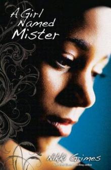 A Girl Named Mister Read online