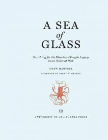 A Sea of Glass Read online