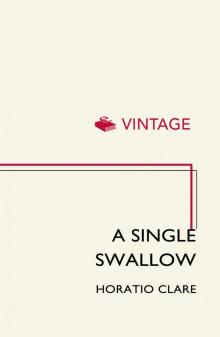 A Single Swallow Read online