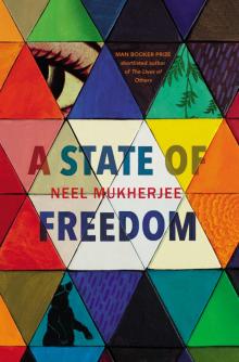 A State of Freedom Read online