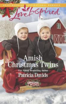 Amish Christmas Twins Read online