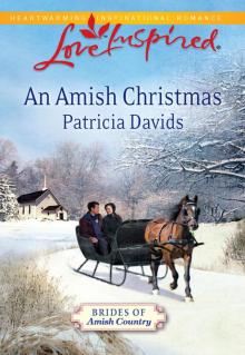 An Amish Christmas Read online