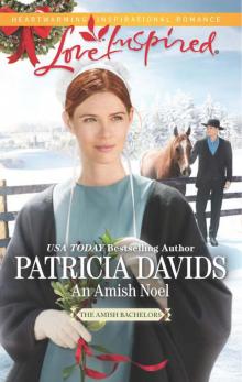 An Amish Noel Read online