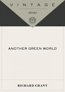 Another Green World Read online