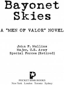 Bayonet Skies Read online