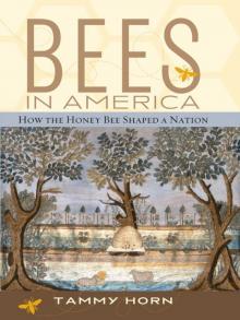 Bees in America Read online