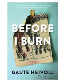 Before I Burn: A Novel Read online