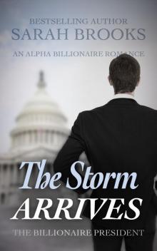 Billionaire Romance: The Storm ARRIVES: An Alpha Billionaire Romance (The Billionaire President Book 11) Read online