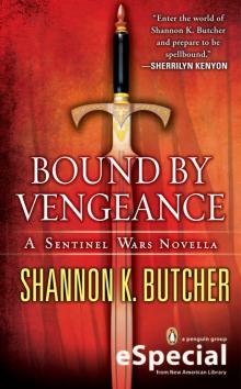 Bound By Vengeance Read online