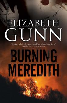 Burning Meredith Read online