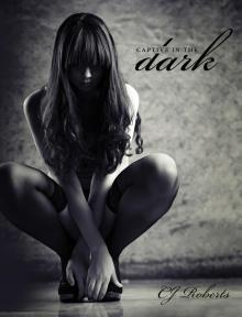 Captive in the Dark Read online