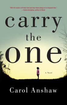 Carry The One Read online