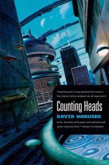 Counting Heads Read online