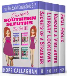 Cozy Mysteries Women Sleuths Series: Box Set III: Books 9-12 Read online