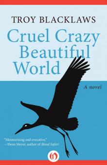 Cruel Crazy Beautiful World Read online
