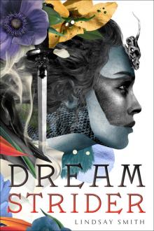 Dreamstrider Read online