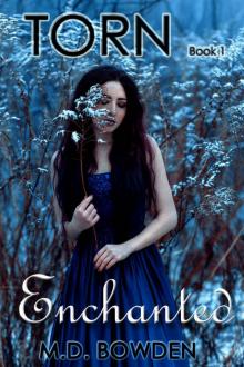 Enchanted (Torn Book 1) Read online