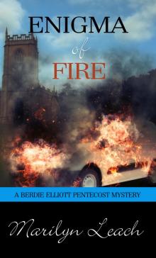 Enigma of Fire Read online