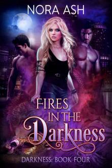 Fires in the Darkness Read online