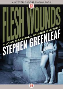 Flesh Wounds Read online