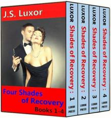 Four Shades of Recovery: Boxed Set Read online