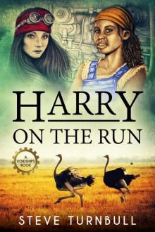 Harry on the Run Read online