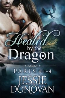 Healed by the Dragon: Boxed Set (Parts #1-4)