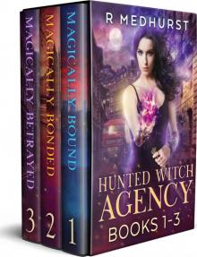 Hunted Witch Agency Box Set Books 1-3 (Hunted Witch Agency Set) Read online