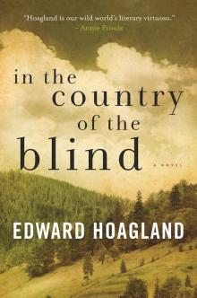 In the Country of the Blind Read online