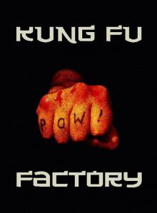 Kung Fu Factory