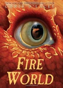 Last Dragon 6: Fire World