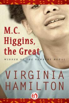 M.C. Higgins, the Great Read online
