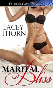 Marital Bliss: 3 (Girls Night Out) Read online