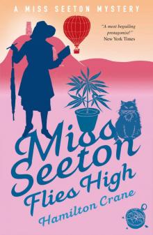 Miss Seeton Flies High (A Miss Seeton Mystery Book 23) Read online