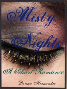 Misty Nights: A Short Romance Read online