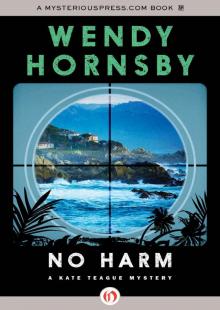 No Harm (The Kate Teague Mysteries Book 1) Read online