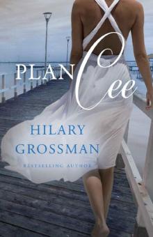 Plan Cee (Secrets, Lies, and Second Chances Book 2)