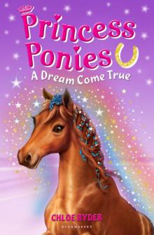 Princess Ponies 2 Read online