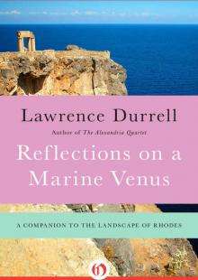 Reflections on a Marine Venus: A Companion to the Landscape of Rhodes Read online