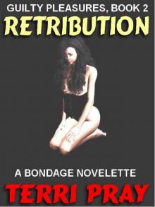 Retribution: An Erotic Novelette [Dangerous Pleasures #2] Read online